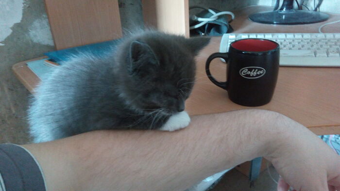 Устал ведь, отдохни! Подумай о жизни!