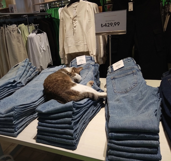 H&amp;M � ��������