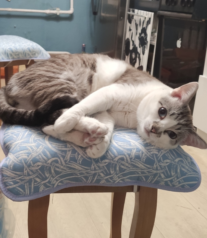 � ������ ������� �����������?