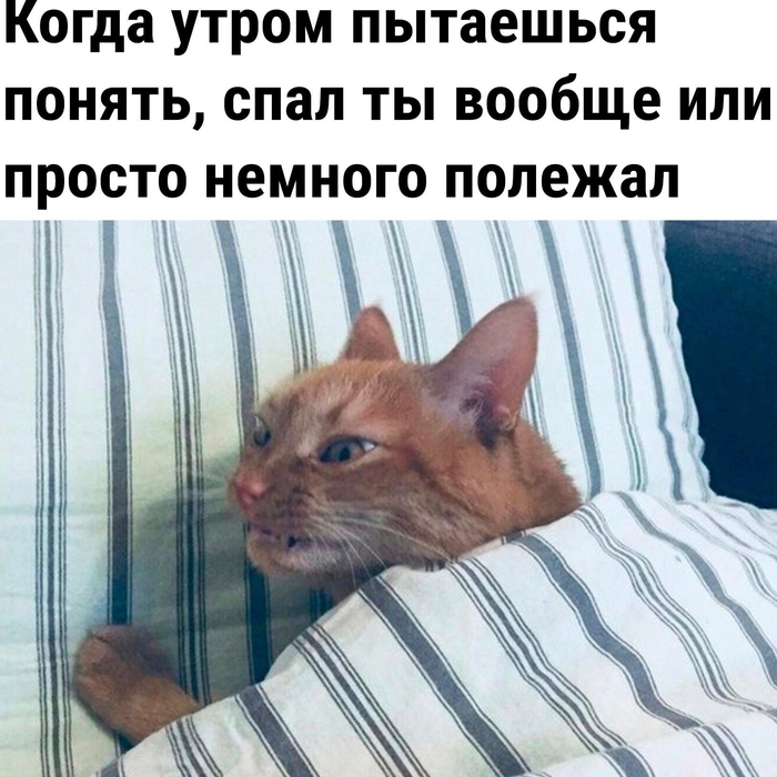 � ��� ������ ���� , ��� ����� ����� ����� ������ �� �������� ?