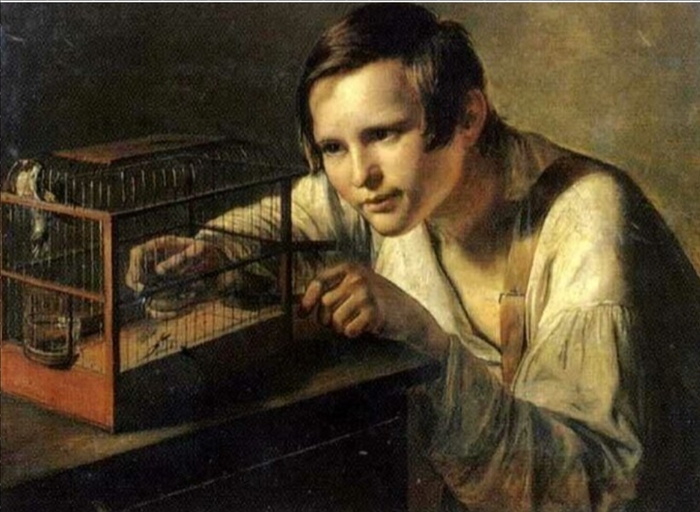    , , , , , 