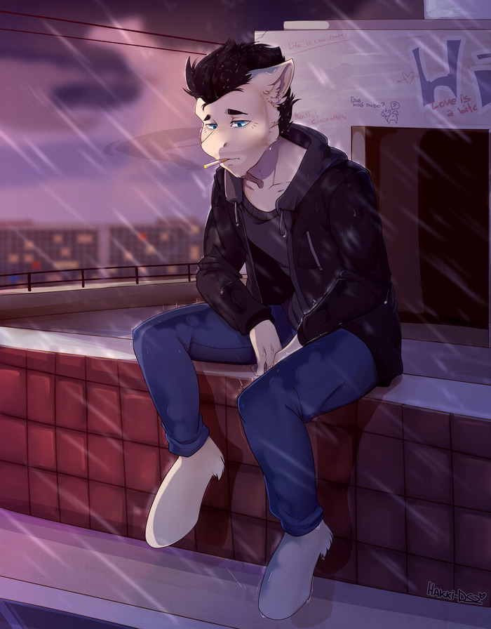 ������ ����