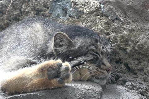 Всем спокойной ночи