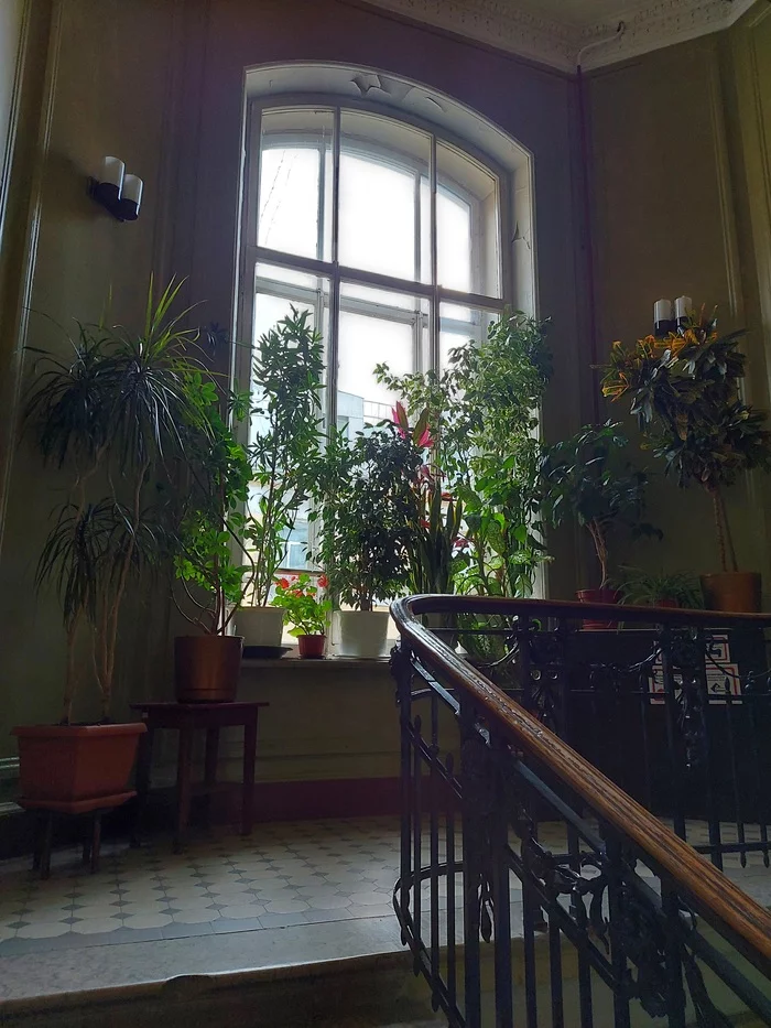 Барская квартира для советской элиты Санкт-Петербург, Музей, Интересные места, Краеведение, Куда пойти, Петроградка, Доходный дом, Квартира, Прогулка по городу, Длиннопост