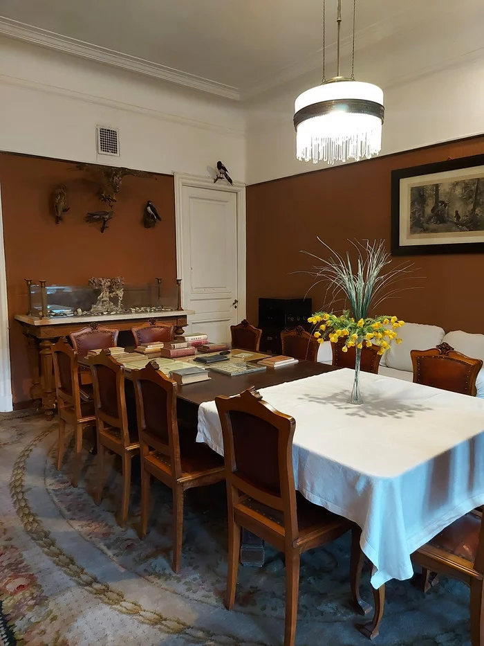 Барская квартира для советской элиты Санкт-Петербург, Музей, Интересные места, Краеведение, Куда пойти, Петроградка, Доходный дом, Квартира, Прогулка по городу, Длиннопост