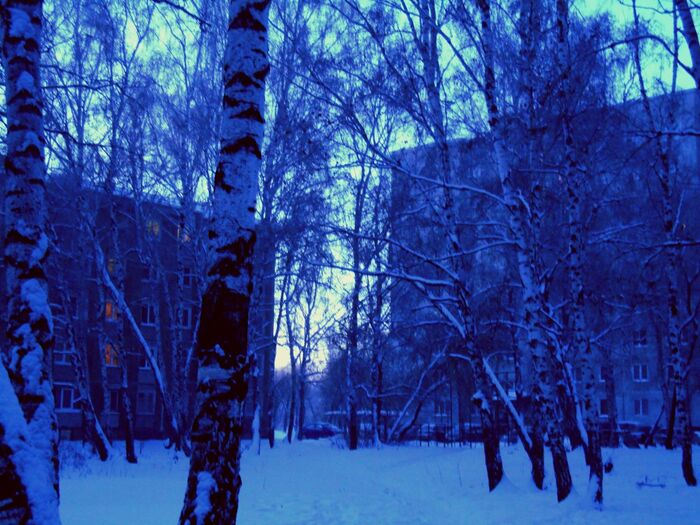 Синее утро...