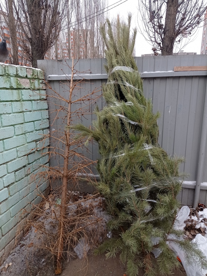 ��� ��� �����? ����� �� �� ��������� ��� ��� ���� ��������