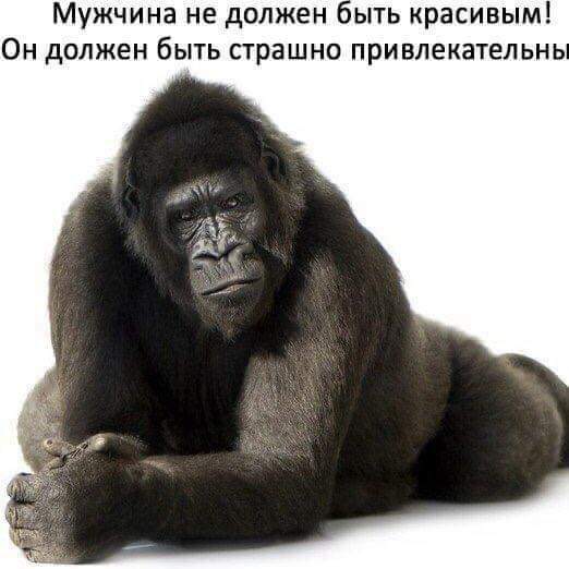 Должен немножко отличатся от обезьяны