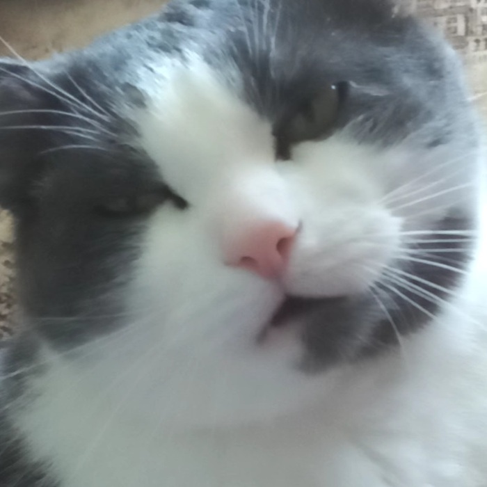    (    ,          ) , , 