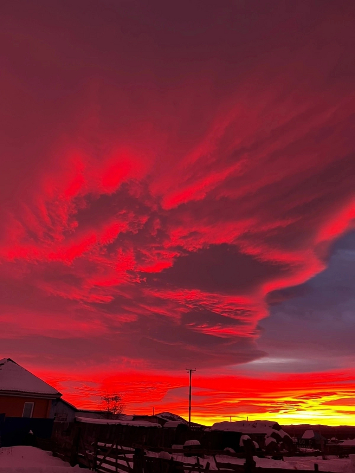 -       .     (14  2023)