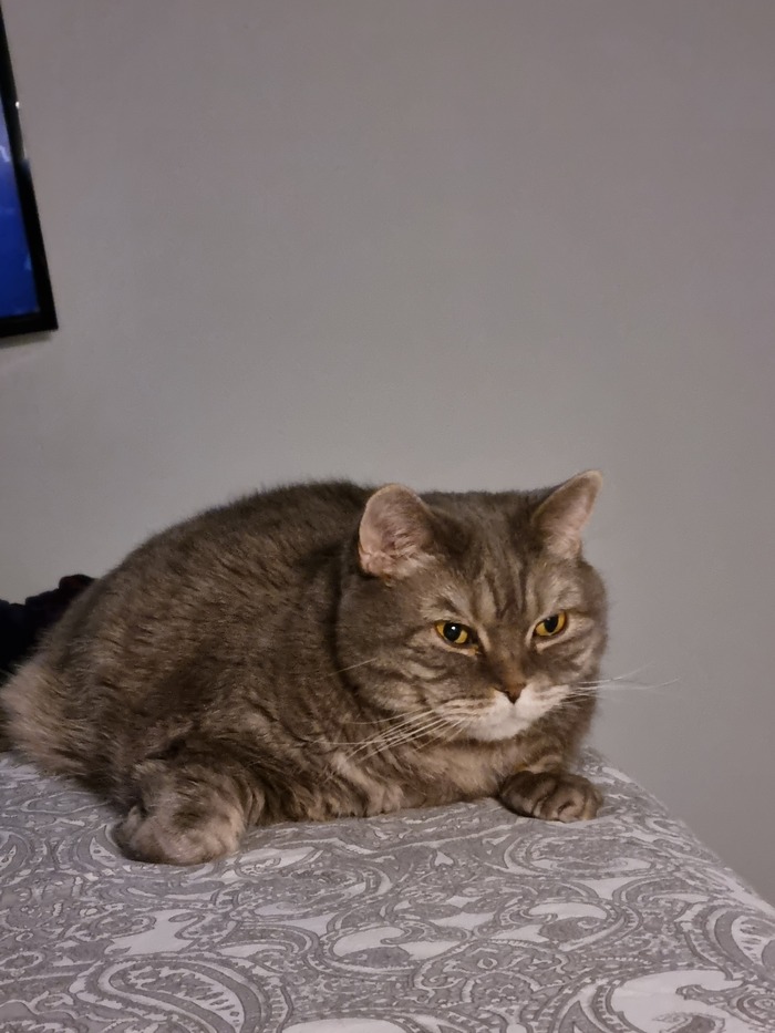 ��� ��� � ��� ������ �� ����� � ������?