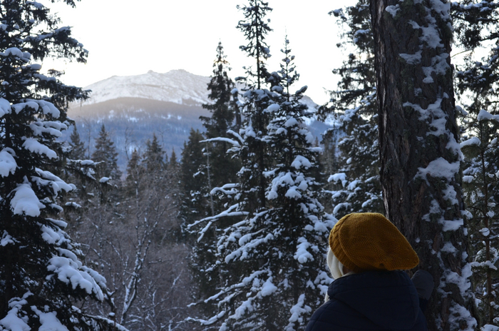 ������������ ��������� ������� ��� � �������, ������� ����� ���������, �������...