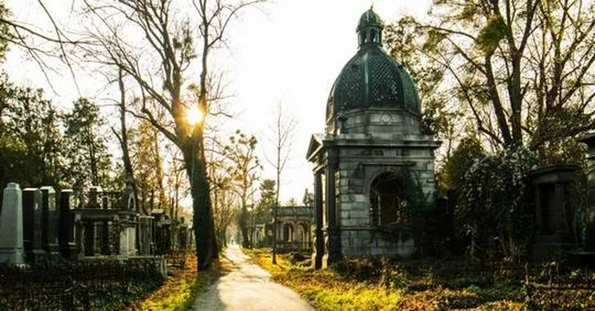 Старые кладбища фото. Городское кладбище гор . Львов. Старинное кладбище. Кладбище картина. Кладбищенский сад.