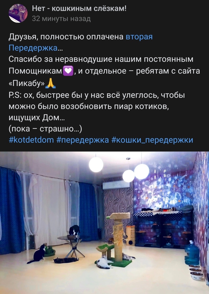 ����� �� ���� ������ � ���������� "��� �������� ������". ����� �������