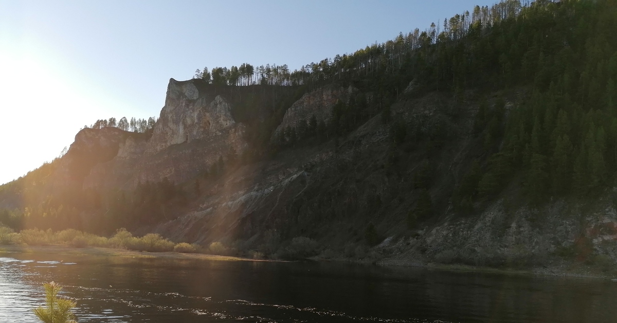 Пеледуй якутия фото