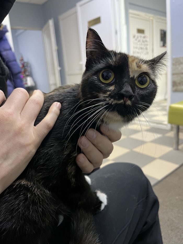 ���������������� ���� ��� ������� ������� �� ��������� (������ ����)