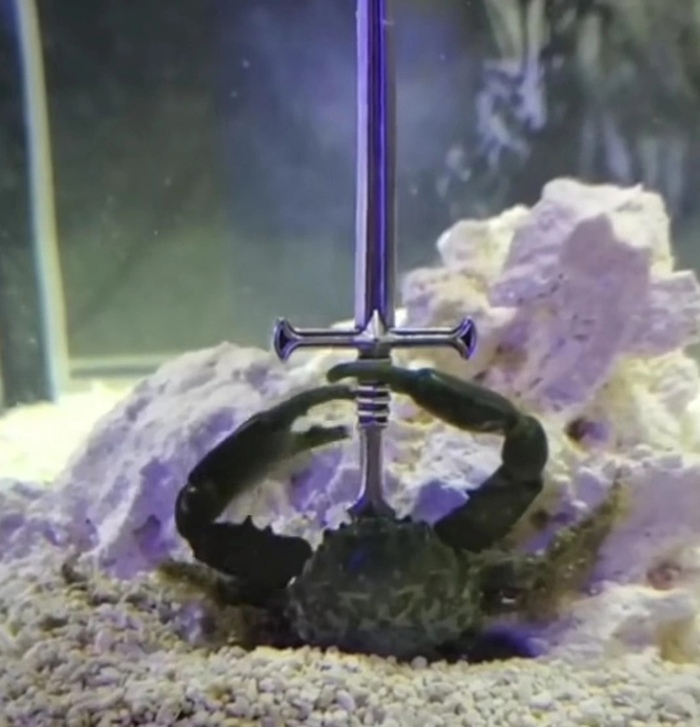 I have the poweeeeer!