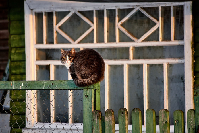 �������