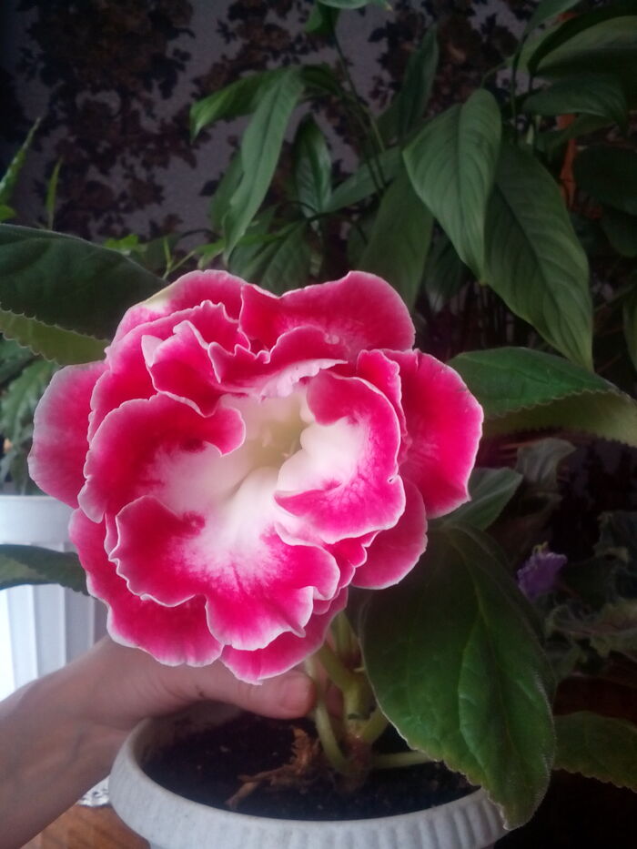 Стихи ..мои...