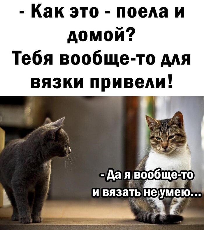   , ,  ,   