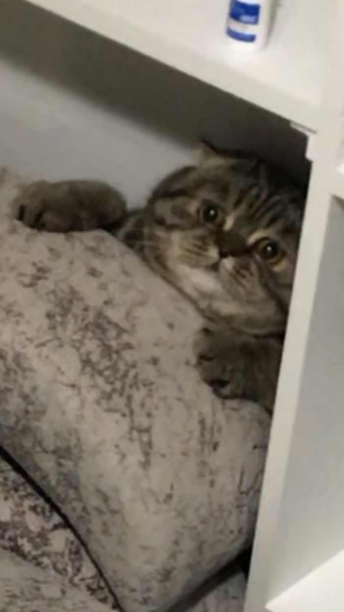 ��������!