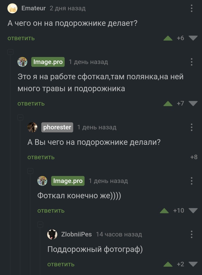     ,   , ,  , , 