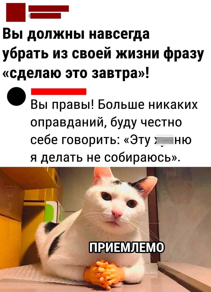 Правильный выбор