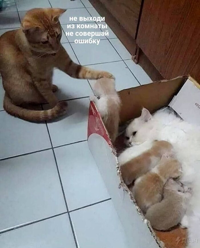 ���������