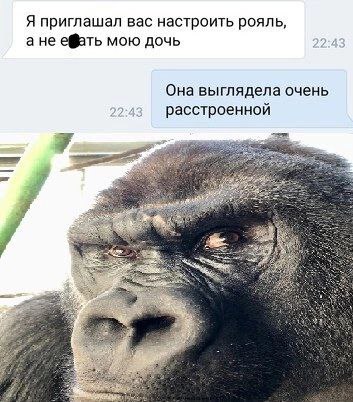 Настройщик дочери