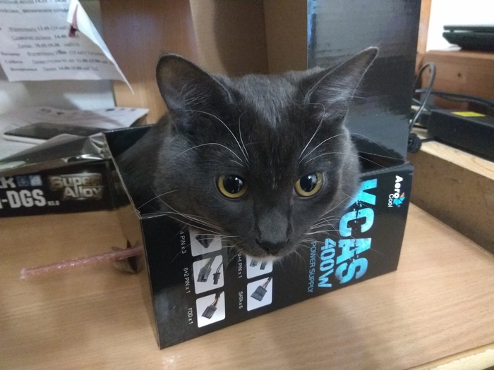 Я же говорил, что у меня просто кость пушистая))