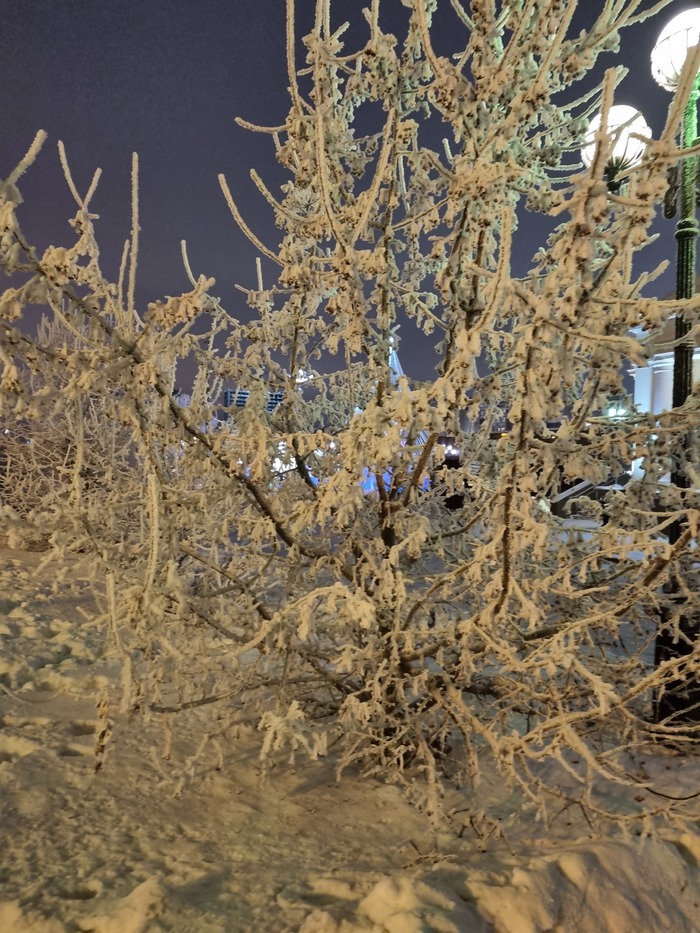 Декабрьское фото