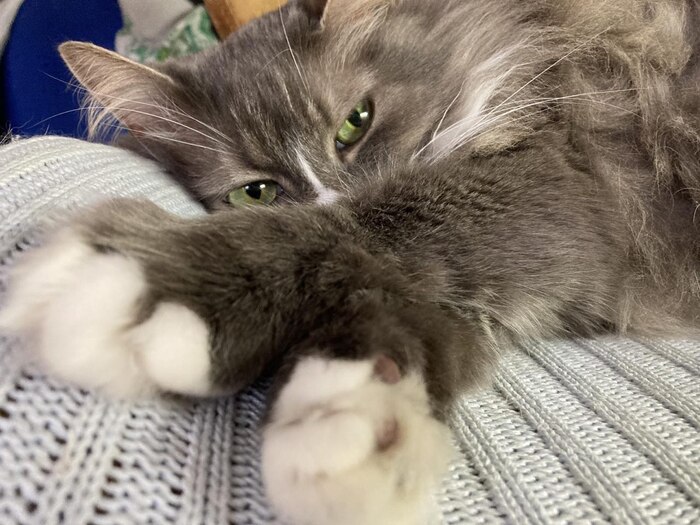 ����� � ������