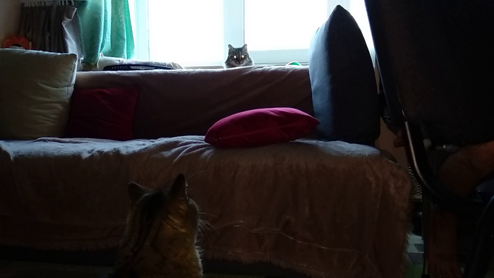 � ������ � ���������...