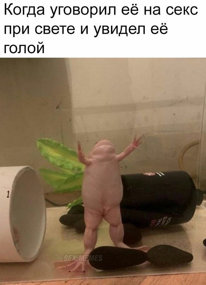 А Света и не против, вроде