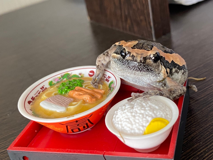 Не забудьте хорошенько позавтракать, мои чуваки