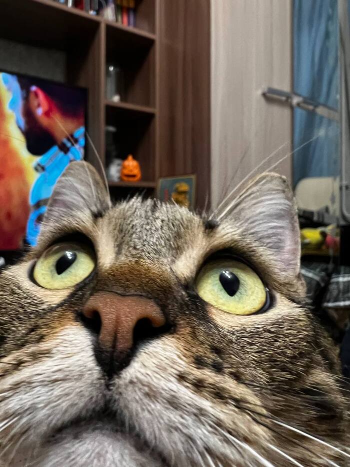 ����! ���� �� �������!