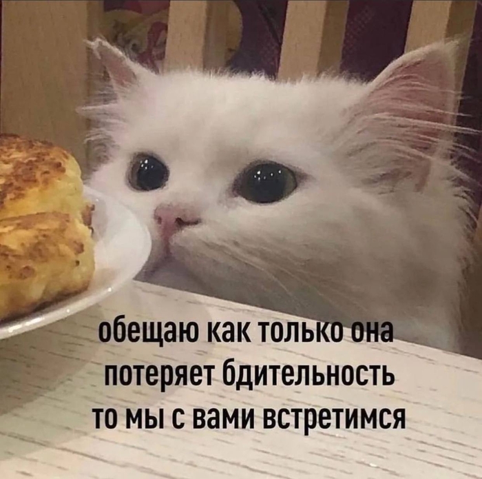 �������� ����� ���������