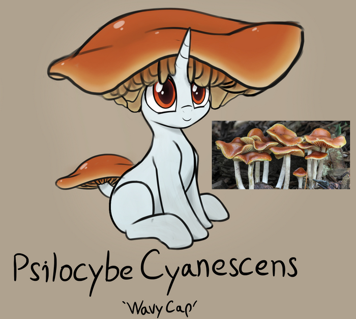 My little Mushrooms My Little Pony, Original Character, Ponyart, , , Czu