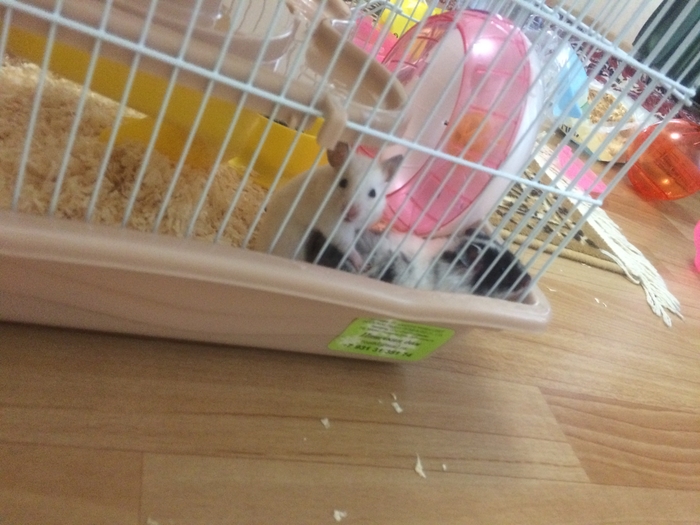    , ,      , , , ,  ,   , 