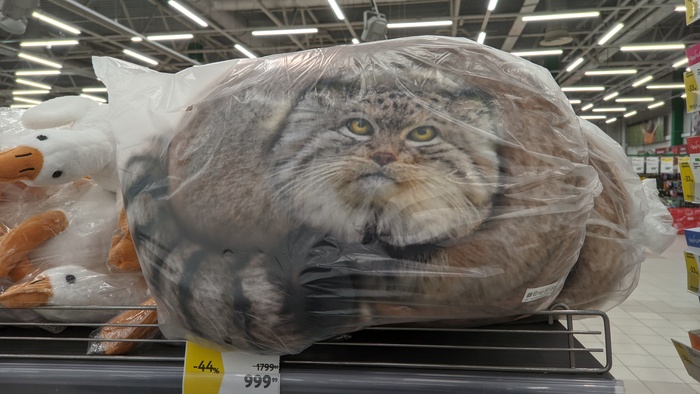 ����� � �������� �� 1000 ���