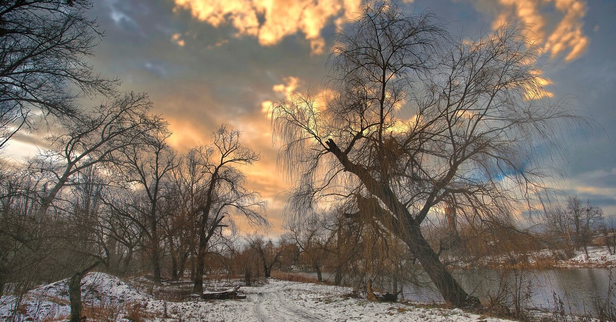 Картинки январь природа