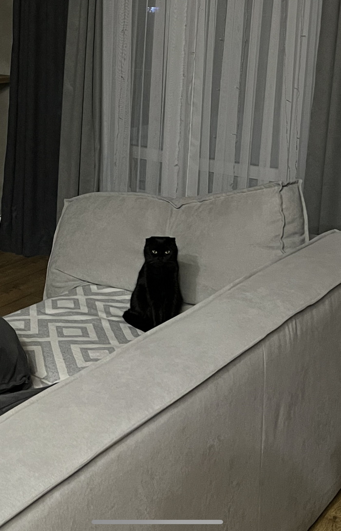 ����� �� ���� ��� �� ��������