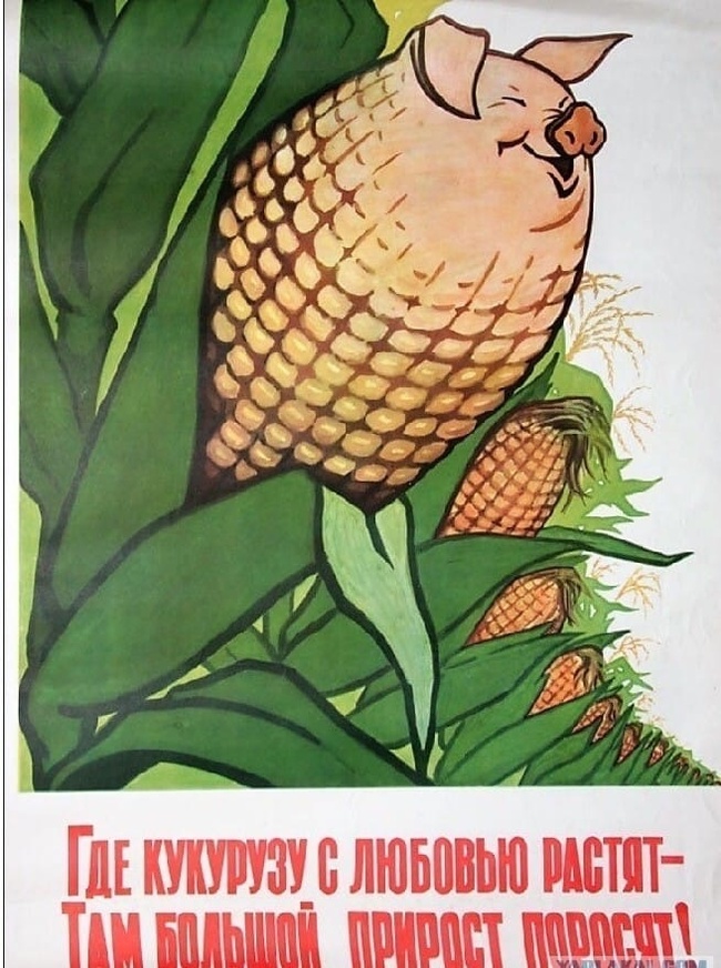1674307743144841410.jpg