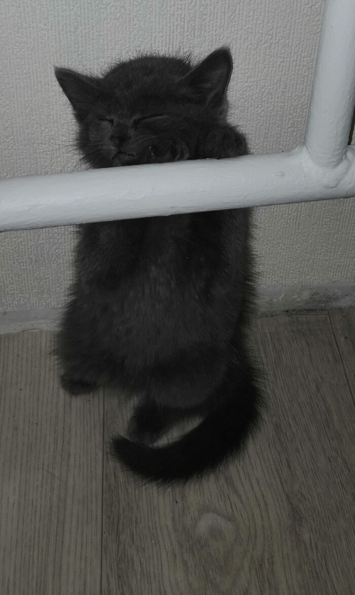 В Сибирь пришли морозы, греемся