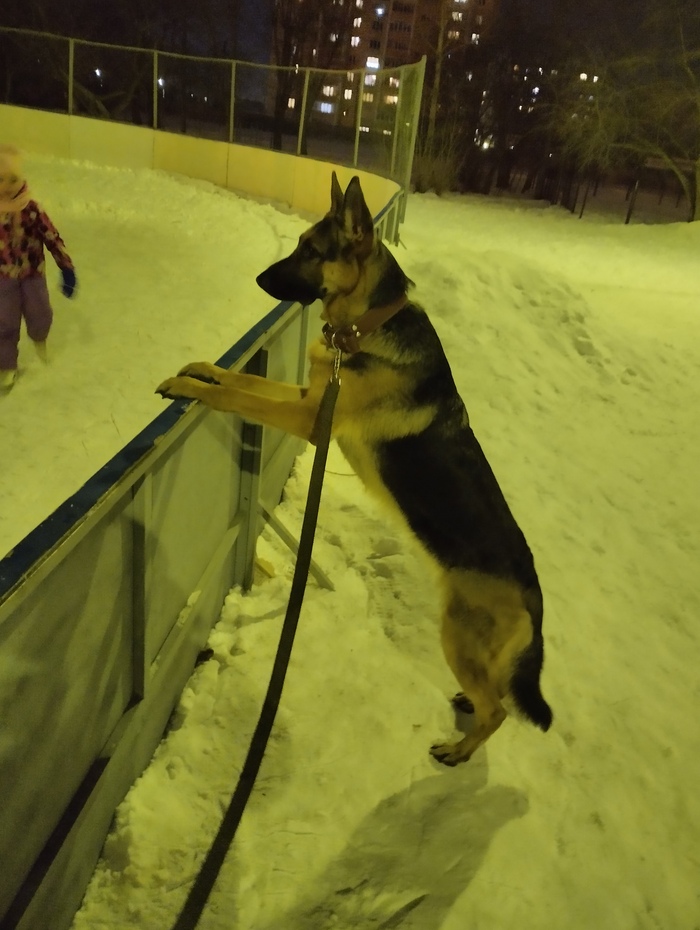 ������ �� ������� �� �����