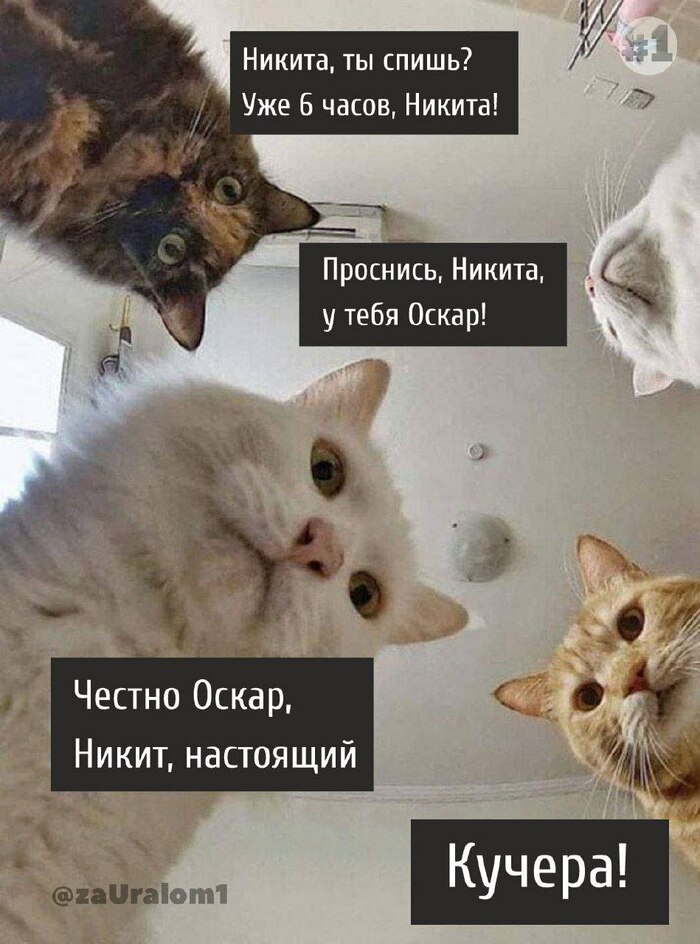 ������, ��������, � ���� �����