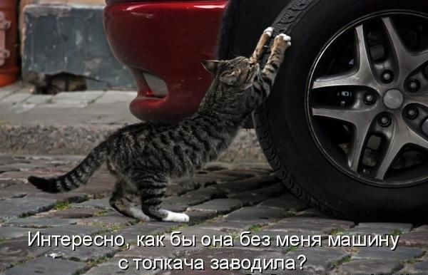 С толкача заводите?