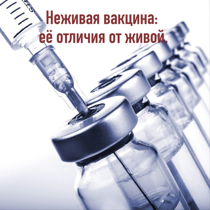 Неживая вакцина: её отличия от живой