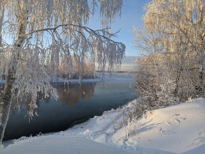 Зима. Костромская область Зима, Костромская область, Дерево, Река, Фотография