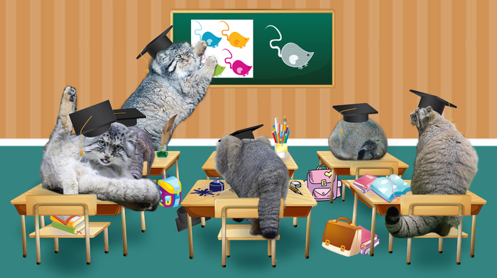 Поздравление от манулов